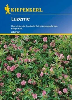 Luzerne Gründünger Einzelsaaten 50g - 1kg Für 25 - 500m²auch Als Eiweißreiche Futterpflanze Zu Verwenden
