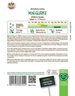 Minigurke SPERLI's Sandia, Snackgurke, Für Gewächshaus Und Freiland, Saatgut Von Sperli