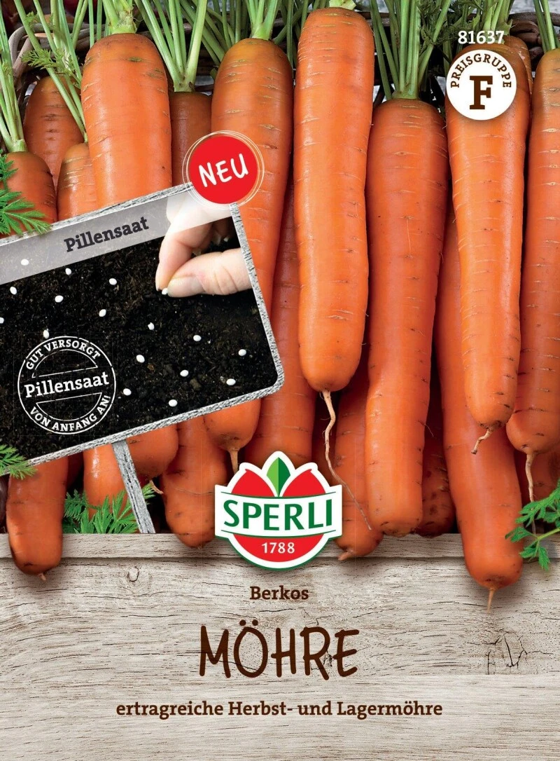Möhre Berkos F1 (Pillensaatgut) Ertragreiche Lagermöhre, Carotinreich