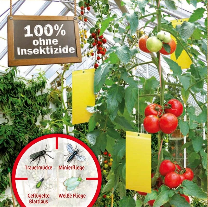 Naturen Gelbtafeln, Gegen Weiße Fliege, Minierfliege, Geflügelte Blattlaus, Etc. In Wintergarten U. Gewächshaus, 7 St. – Bild 6