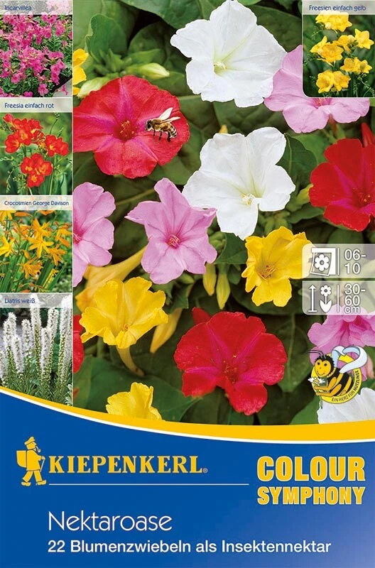 Nektaroase, 22 Stück Frühlingsblumenzwiebeln, Nektarspender Für Insekten – Bild 2