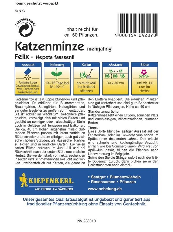 Nepeta Fassenii Katzenminze Felix Blau – Bild 2