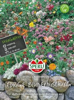 Niedrige Blumenmischung Blütenteppich