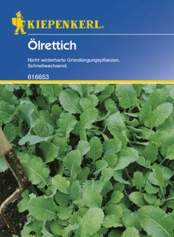Ölrettich Gründünger Portion 75g
