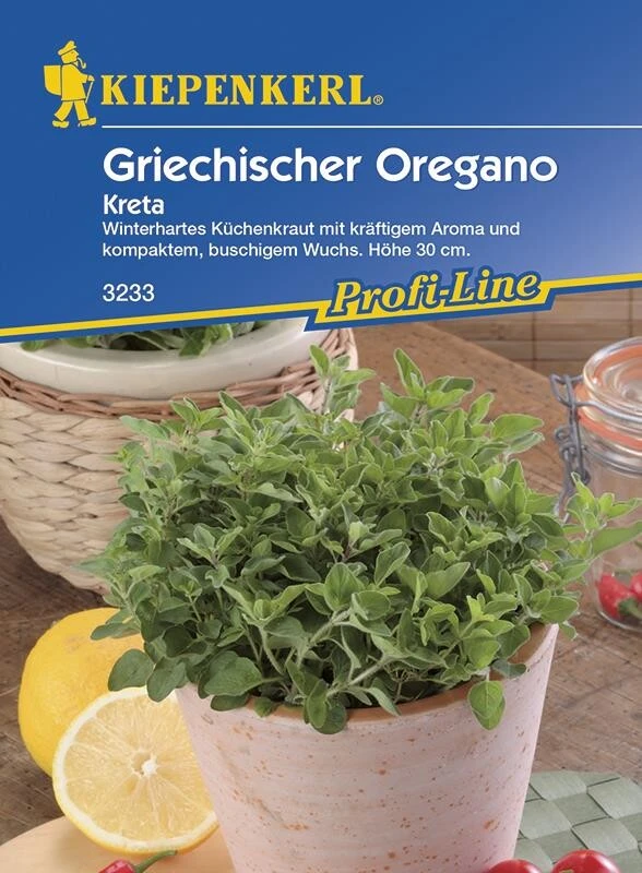 Oregano Griechischer Kreta – Bild 2