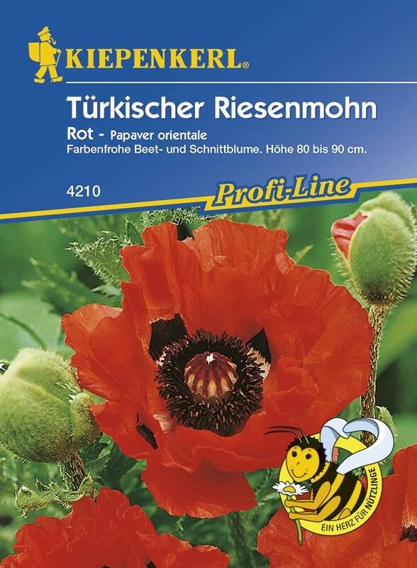 Papaver Orientale Türkischer Riesenmohn Rot – Bild 2