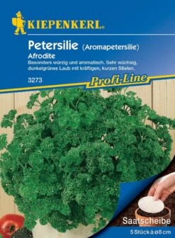 Petersilie Afrodite (Saatscheibe), überwinterung Im Freiland Möglich, Zweijährig