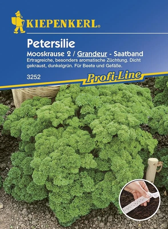 Petersilie Grandeur (Moskrul 2), Saatband 5mtr – Bild 2