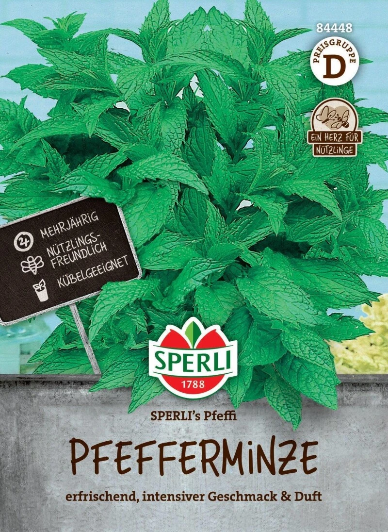 Pfefferminze SPERLI's Pfeffi, Mehrjährig, Nützlingsfreundlich, Kübelgeeignet, Saatgut Von Sperli – Bild 2