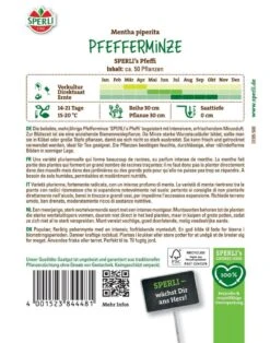 Pfefferminze SPERLI's Pfeffi, Mehrjährig, Nützlingsfreundlich, Kübelgeeignet, Saatgut Von Sperli