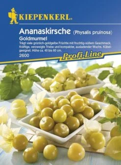 Physalis/ Ananaskirsche Goldmurmel, Süßes Fruchtiges Naschobst