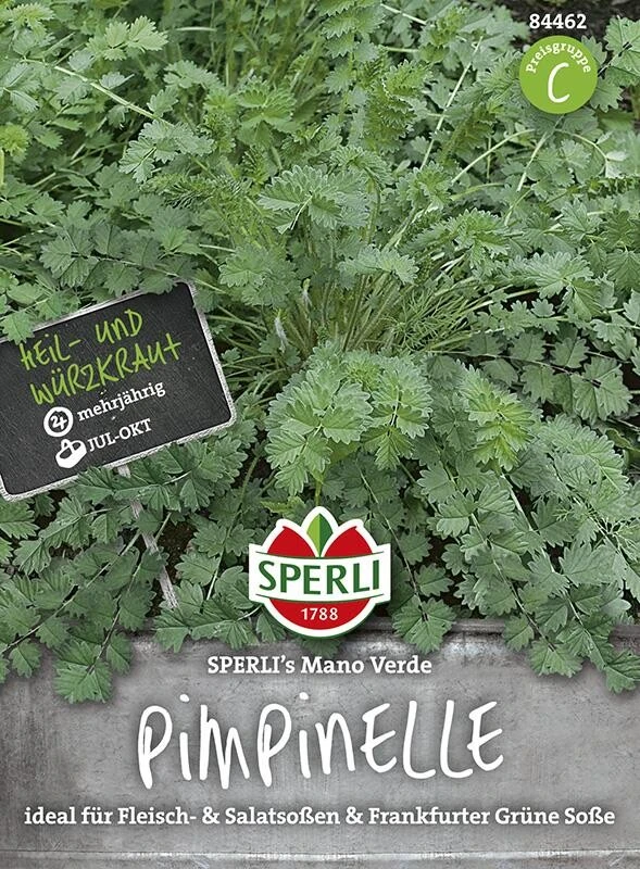 Pimpinelle SPERLING´s Mano Verde – Bild 2