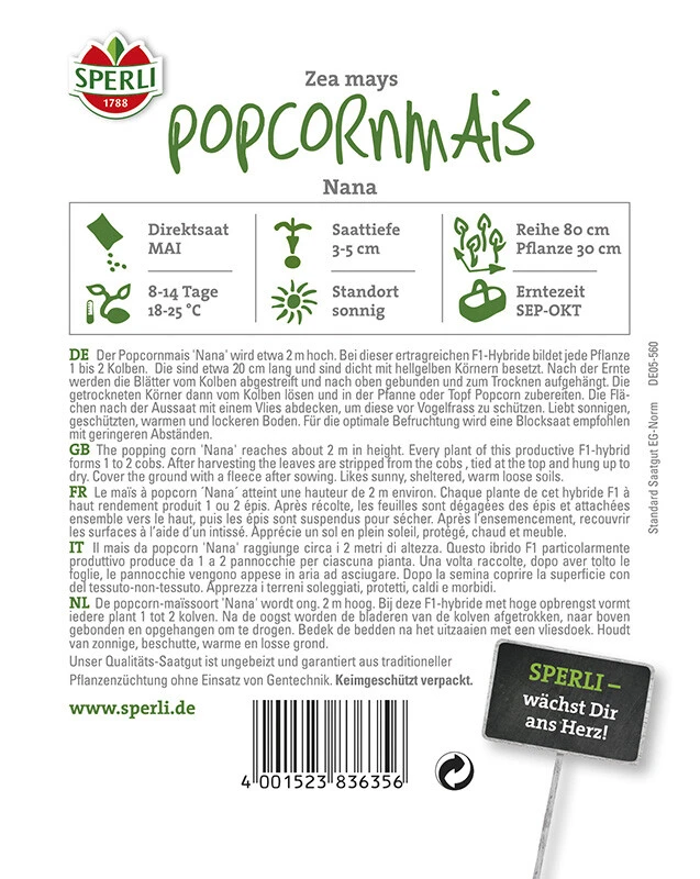 Popcornmais Nana F1 – Bild 2