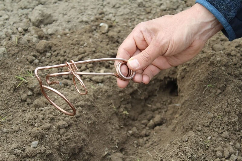 PROTECT HOME Wühlmaus Drahtfalle 2er Set – Bild 6