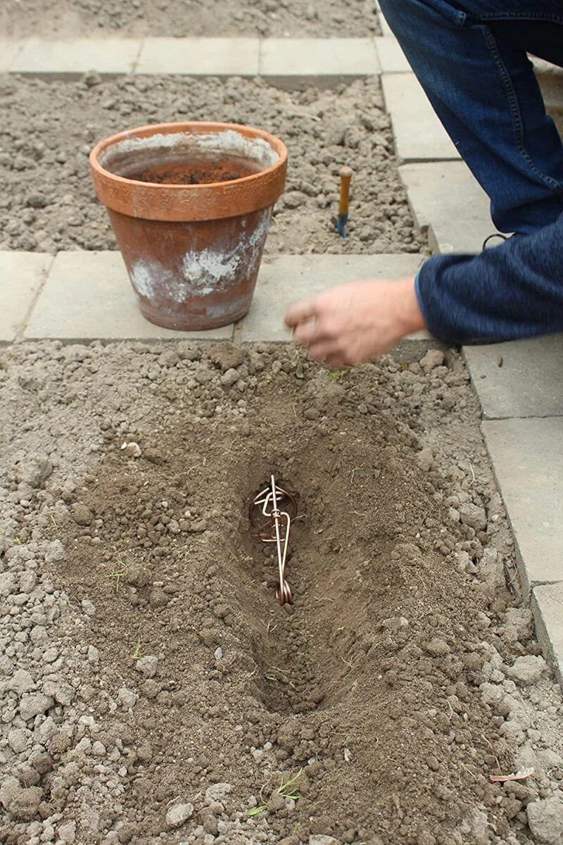 PROTECT HOME Wühlmaus Drahtfalle 2er Set – Bild 3