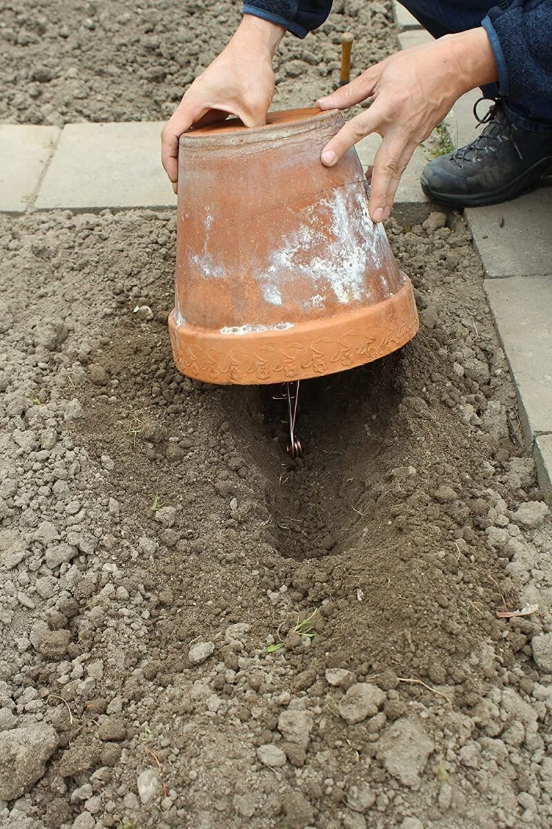 PROTECT HOME Wühlmaus Drahtfalle 2er Set – Bild 2