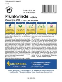 Prunkwinde Grandpa Ott, Edle Wunderschön Samtigblaue Blüten