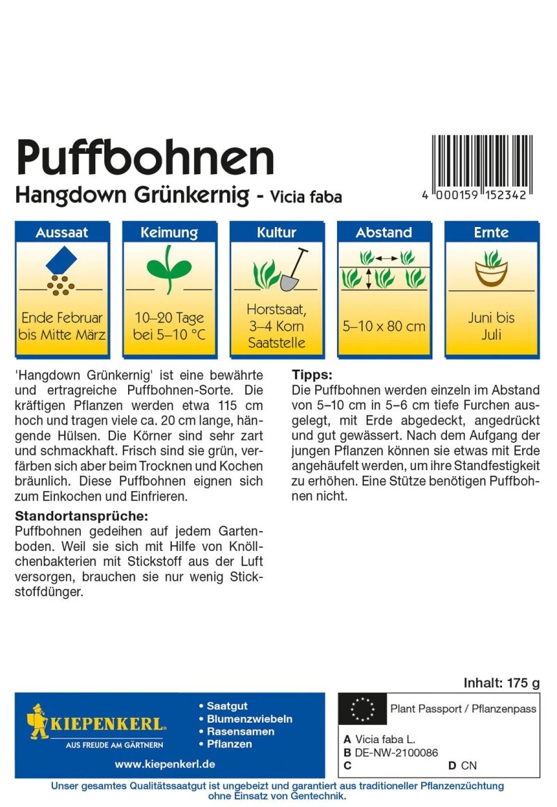 Puffbohne Hangdown Grünkernig (Vorteilspack), Inhalt: 175 Gr., Eine Bewährte Und Ertragreiche Sorte, Zum Kochen Und Einfrieren