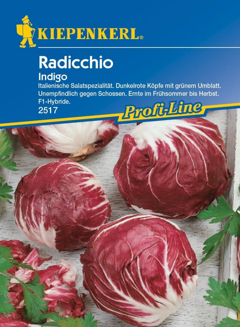 Radicchio Indigo Schossfest Mit Dunkelroter Färbung – Bild 2