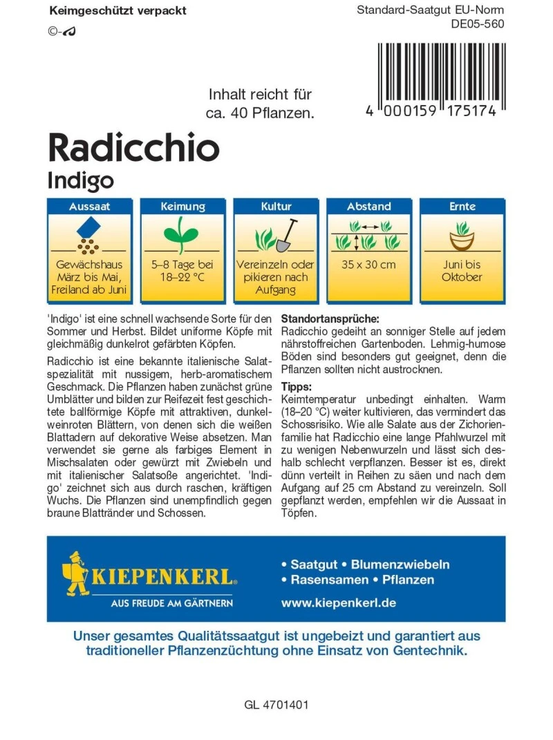 Radicchio Indigo Schossfest Mit Dunkelroter Färbung