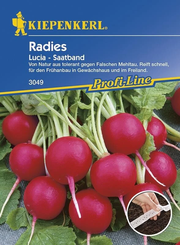 Radies Lucia Saatband 5mtr