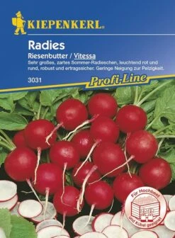 Radies Riesenbutter Vitessa