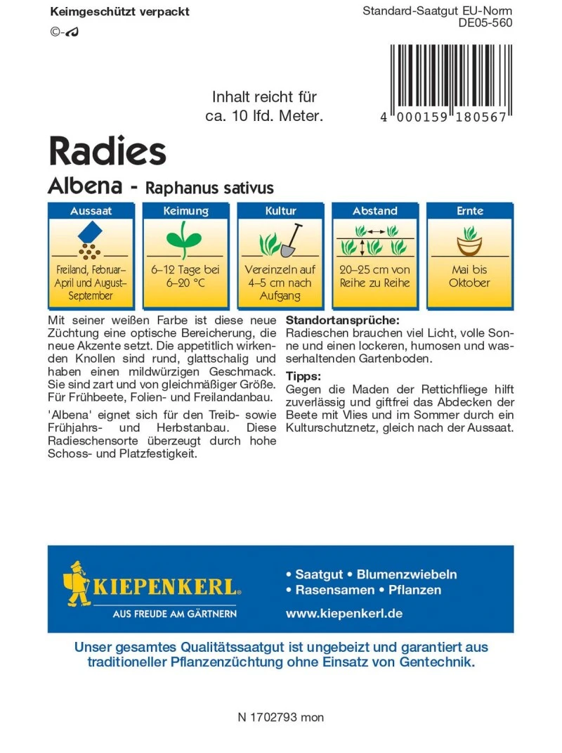 Radieschen Albena, Ideal Zum Dekorieren Von Butterbroten Und Salaten, Ein Optischer Genuss, Für Frühbeete Folien- Und Freilandanbau – Bild 2