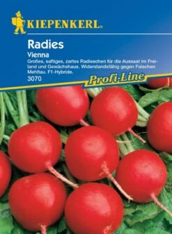 Radieschen Vienna F1, Groß Saftig-zart, Für Freiland Und Gewächshaus, Widerstandsfähig