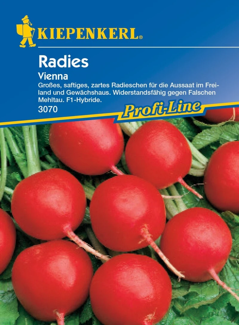 Radieschen Vienna F1, Groß Saftig-zart, Für Freiland Und Gewächshaus, Widerstandsfähig