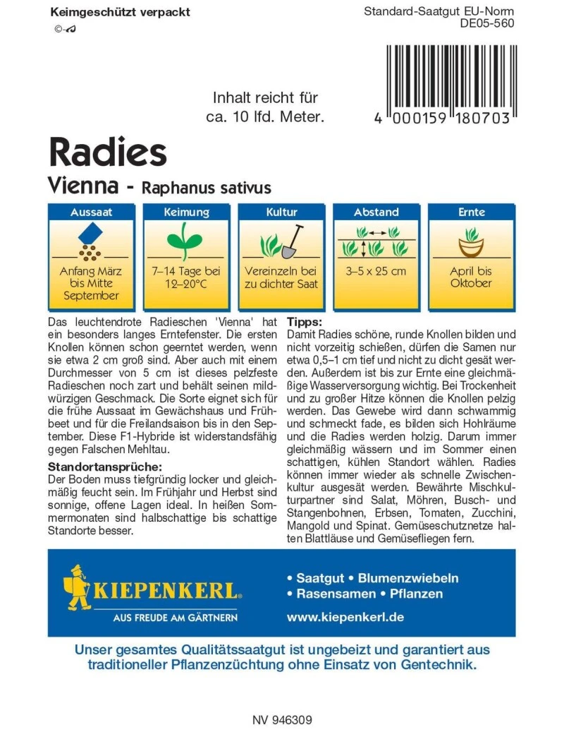 Radieschen Vienna F1, Groß Saftig-zart, Für Freiland Und Gewächshaus, Widerstandsfähig – Bild 2