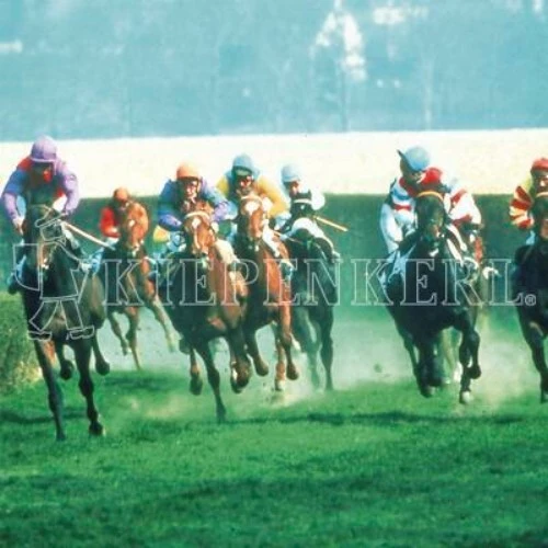 Rennbahn DSV 83010kg