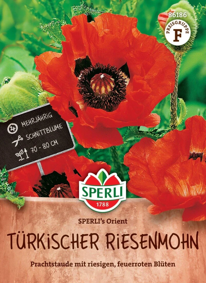 Türkischer Riesenmohn SPERLI's Orient, Mehrjährige Schnittblume, Staude, Saatgut Von Sperli – Bild 2