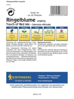 Ringelblume Touch Of Red, Kräftige Stängel Lange Blüte, Für Beete Und Zum Schnitt