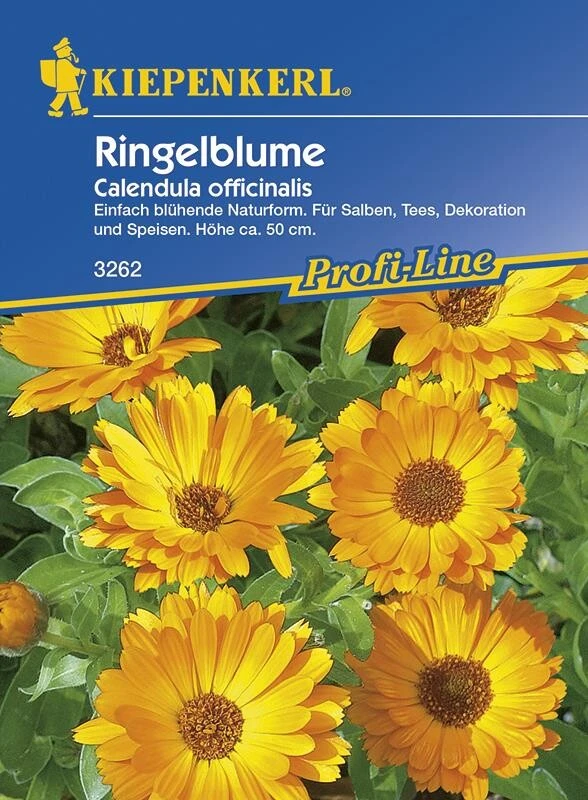 Ringelblumen Heilkraut Calendula Officinalis Für Tee- Und Salbenzubereitung – Bild 2