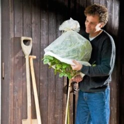 Romberg Rosenschutz-Haube, 3er Set