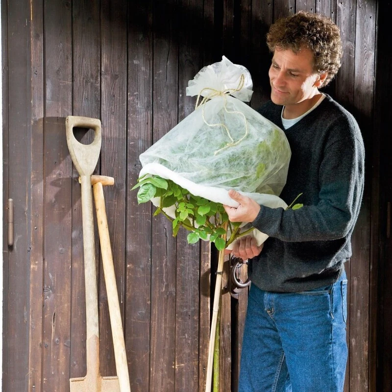 Romberg Rosenschutz-Haube, 3er Set
