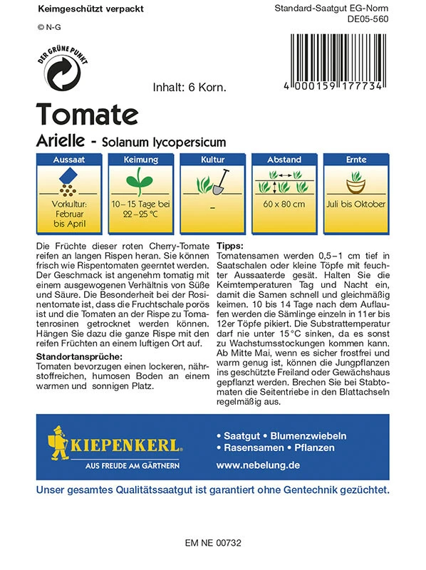Tomaten Rosinentomate Arielle, Rote Cherry-Tomaten Reift An Langen Rispen, Fruchtgewicht 20 - 25 G – Bild 2