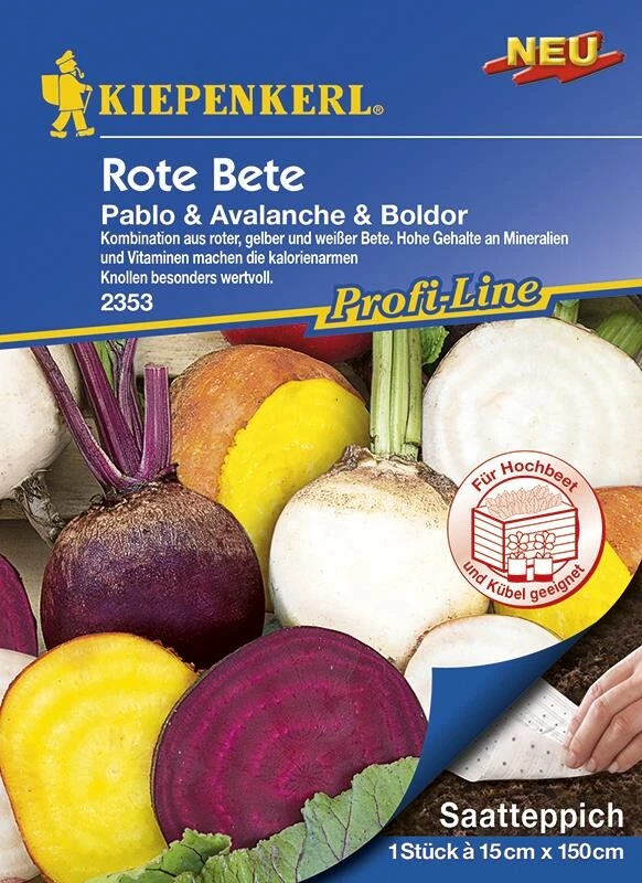 Rote Beete Pablo, Avalanche, Boldor F1 Saatteppich (15cm X 150cm) – Bild 2