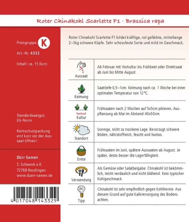 Roter Chinakohl Scarlette F1 – Bild 2