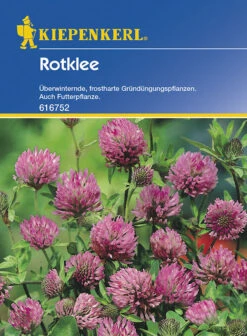 Rotklee Gründünger | Portion 50 G Für 20 M² | Altbewährte Gründüngungspflanze