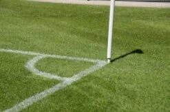 RSM-Rasensamen 3.1 Sportrasen Neuanlage 10kg