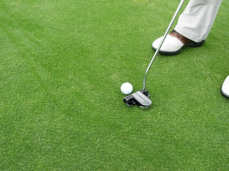 RSM-Rasensamen 4.1.1 Golfrasen Grün 10kg