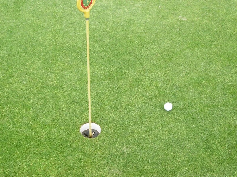 RSM-Rasensamen 4.1.2 Golfrasen Grün 10kg