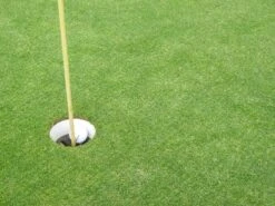 RSM-Rasensamen 4.1.3 Golfrasen Grün 10kg