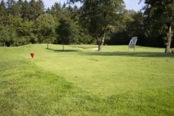 RSM-Rasensamen 4.3 Golfrasen Abschlag 10kg