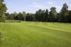 RSM-Rasensamen 4.4.1 Golfrasen Spielbahn 10kg