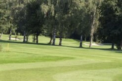 RSM-Rasensamen 4.4.3 Golfrasen Spielbahn 10kg