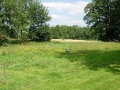 RSM-Rasensamen 7.1.2 Landschaftsrasen Standard Mit Kräutern 10kg