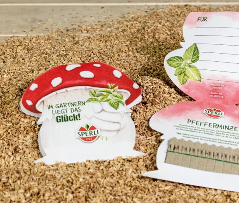 Sperli 10 Saatgut-Sticks Zur Einfachen Anzucht, Pilz , Pfefferminze