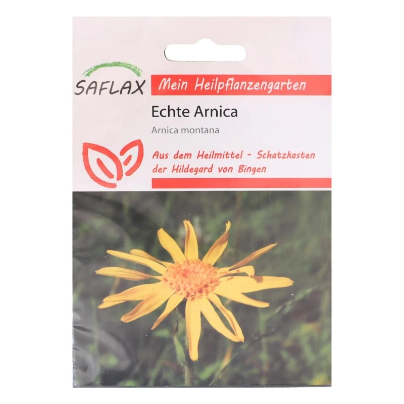 Echte Arnica Heilpflanzen Saatgut - 40 Samen - Arnica Montana – Bild 2